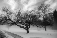 bwtree