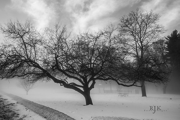 bwtree